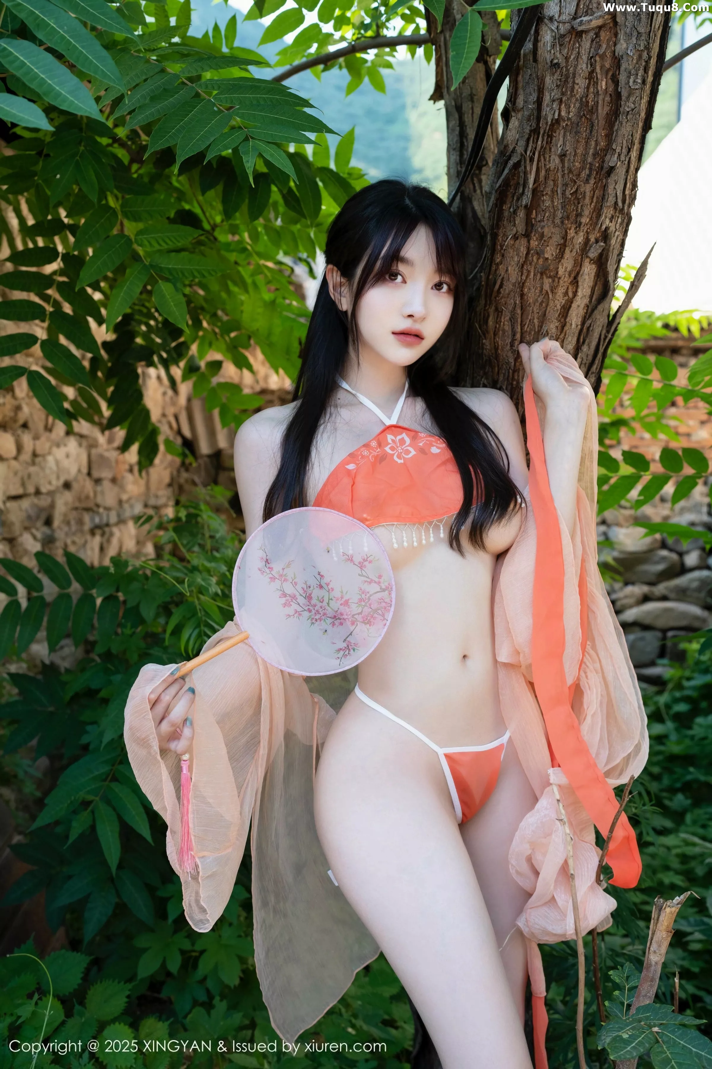 白露写真