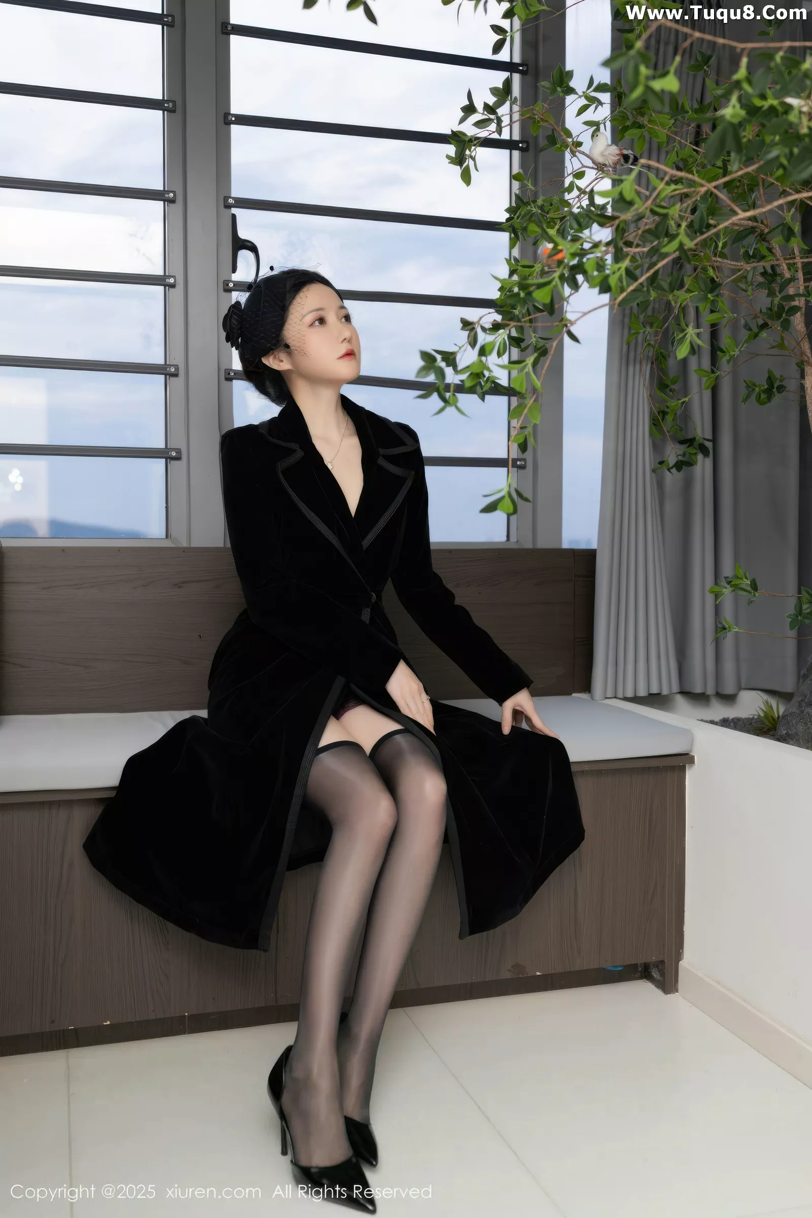 鱼子酱写真
