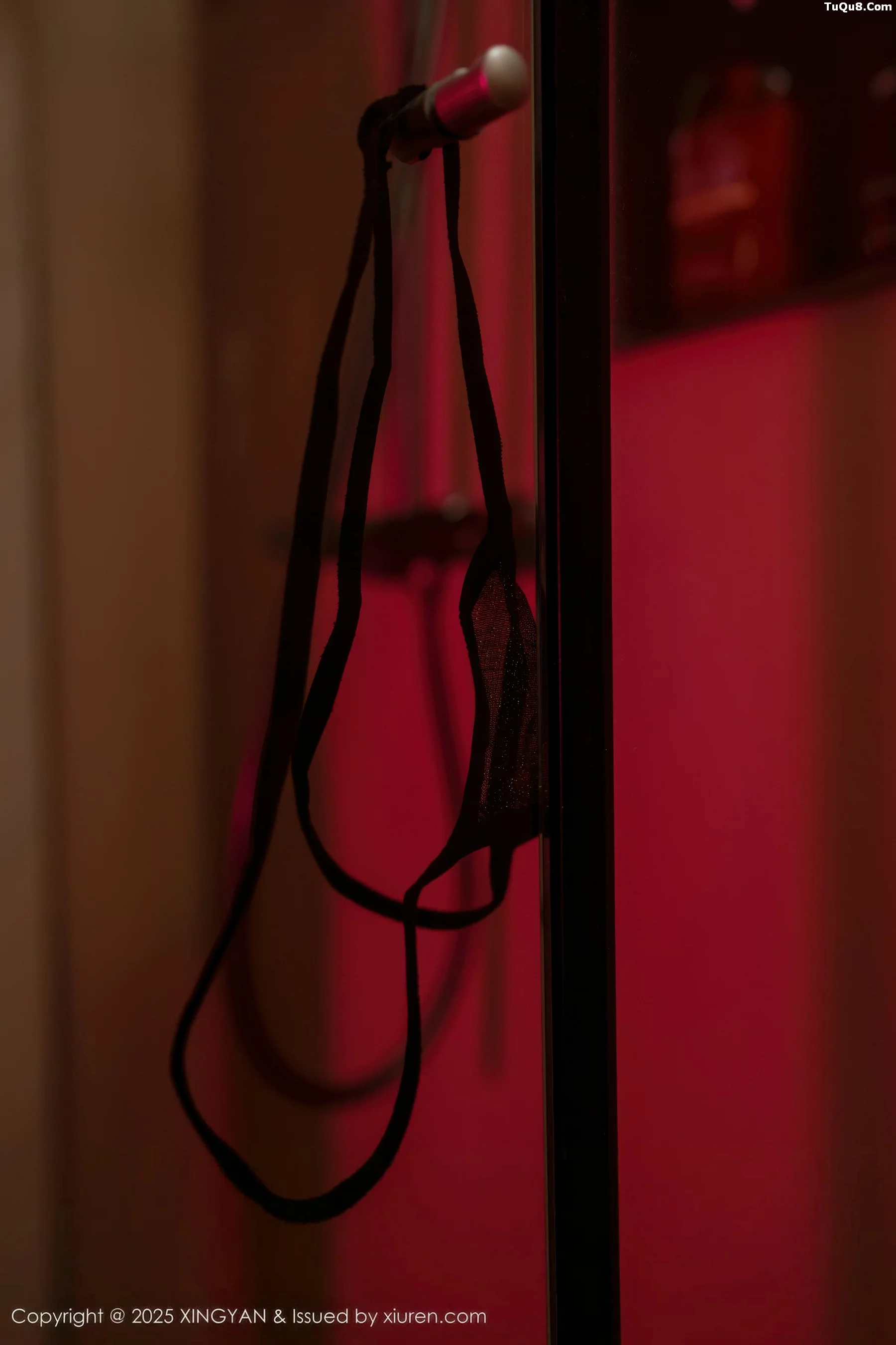 秀人集.com_[XINGYAN星颜社]VOL.424_模特沈南汐RuRu粉色连衣短裙+黑色薄纱服饰秀美腿诱惑写真71P